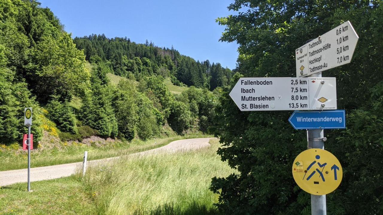 Ferienwohnung SonnenStrahl Todtmoos Exterior foto